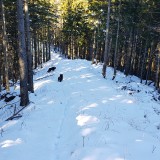 D078D2FC-7F81-4871-BFED-EF3F6357CE49