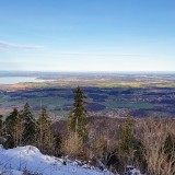 D0C762A1-5F9D-4A01-9B61-79E58400B107