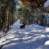 DB167AF0-D8E8-4AEC-B8E4-FE98F8753808