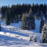 F36ABB82-2E8F-4D72-8D42-5020982DCF18