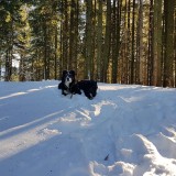 FF2F2546-47D3-4890-B3F7-760EAF58E44B