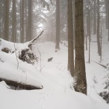 1A438D24-67F5-443D-944B-8FDFBDCFFC10