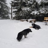 7814A424-BAEE-4D23-9100-50E638807086