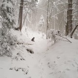 B286B4E0-CFD6-482D-A26C-D428F9DDF0D6