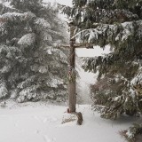 C453E3F5-538F-42F8-9484-E420E9C04B5D