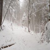 F6DE55BE-D6D8-498D-AF85-2242BB258E93