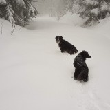 FD4F617C-6F00-41FE-A867-E6894FD25179