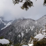 2233813E-8C3D-4626-82FE-F799BEDC1239