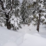 2BF7DAD0-8140-45B1-86A5-245C19CBB6BC