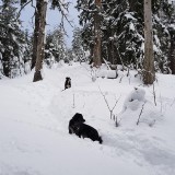 6A92D382-42C8-4C5C-8AF0-95812F0E78E9