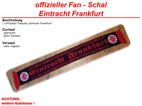 Schal-Frankfurt2.png