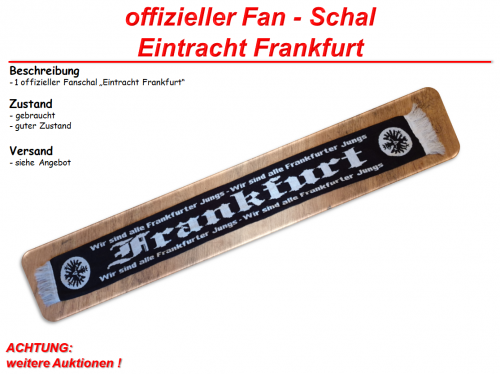 Schal-Frankfurt3.png