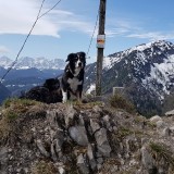 72F1EBAF-4F3F-4ABD-9FF0-8F3E19010251