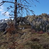 23ED227C-9498-47E2-8835-B0C7C6060B1F