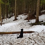 30653325-E631-4D95-BA73-C915ED71C7C1