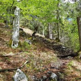 8906DDAD-DD3C-470D-B984-4CB3123EA6FB