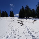 A206E1A2-41A4-48C8-AB82-9FBAF117D6A7