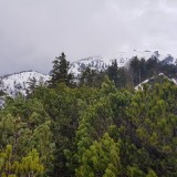 A9A3F7FC-B4B5-4514-B712-B21B3848A85A