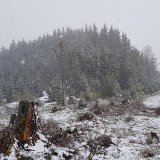 4E99F804-BA7A-49FC-B6E0-BE5B0F6DD70D