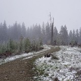 BE247C74-9DAF-4272-80ED-2C1AFF464B3F