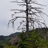 14DC0F22-FD69-4E90-9BA6-544D1EA49D8A