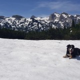 A28BD2FE-4D70-4610-B4FF-5FA45412B99F