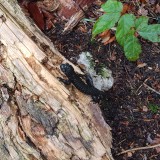 569D3E51-6683-44AD-A374-DBF743F6A44A