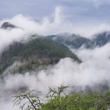 5860F6FE-DA3F-4A74-A080-6C59B5F397A5