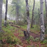 A4535009-F21D-43EF-A0B3-1DB68435403C