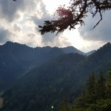 5FE8A779-C2B3-4175-BB50-349CF609F825