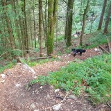 1A5910D9-2AA6-43DB-869F-BA3651D309B9