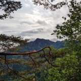 28BF54D7-948F-4F4D-A69E-165577926A31