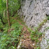 523C16C1-EC93-4A9E-B700-EE5E8C609645