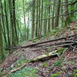 6A36BAAD-6D0B-456E-A40B-387320429E66