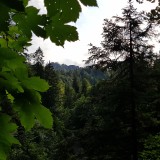 741A07B4-39C8-4960-8045-3F7F6D7CECE5