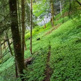 7FA1B74C-BEAD-44C7-BC09-89F57DCF8642