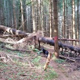 B1102628-EF14-47AE-A665-1F824887F565