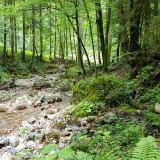 FB1F8460-8935-4EEC-868C-17EC07A82D48