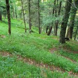 16FD33A5-47C4-4370-9A3A-704167310123