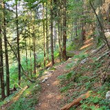 2FE9D9FF-0AEC-4007-84C5-D3F6701EEC5D