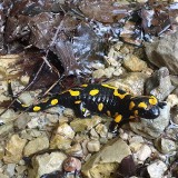 3B515673-1D8D-48B8-BAA7-027DDD00F1FC