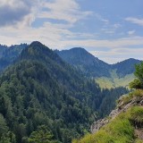 791224A9-5C31-4D95-8060-FCC0559160AE