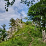 A5393EAD-CF60-4A66-BAE5-9BE4F8BC77D5