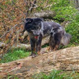 AA70C68A-386F-4CB0-A52A-B11599CE7527