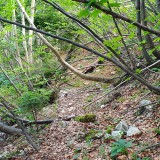 B59290B3-1088-4BDF-AB4E-7FA062C26CC3