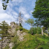 FD7D2618-B5EF-4100-8B8E-D12155E81FB6