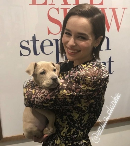 Emilia Clarke (31073)