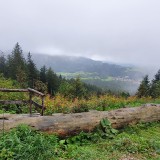 29E96326-A111-477F-A017-4DF020315397