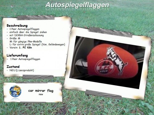 Autospiegelflaggen-Koln.jpg