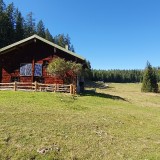 A313D310-3DB4-4819-85D4-082568CA273B